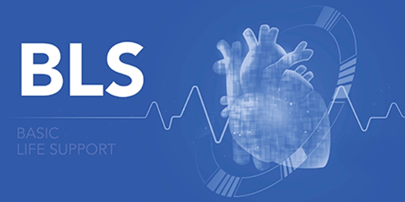 BLS Healthcare Provider Course - #39700